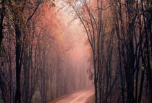 塞蒂恩：带着梦想执教国安 崇尚进攻但先练好防守.