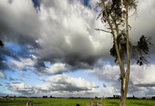 莫斯卡多：梦想是为大巴黎效力，参加欧冠并入选.