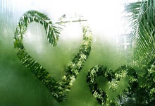 全国春季游泳锦标赛：山东小将张展硕斩获两金 季新杰一金.