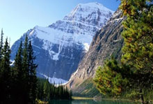 [英超]纽卡斯尔联客场取胜 积分追平曼城.