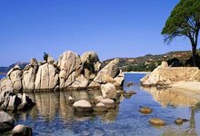 [CBA]上海、广东状态在线 春节大战一触即发.